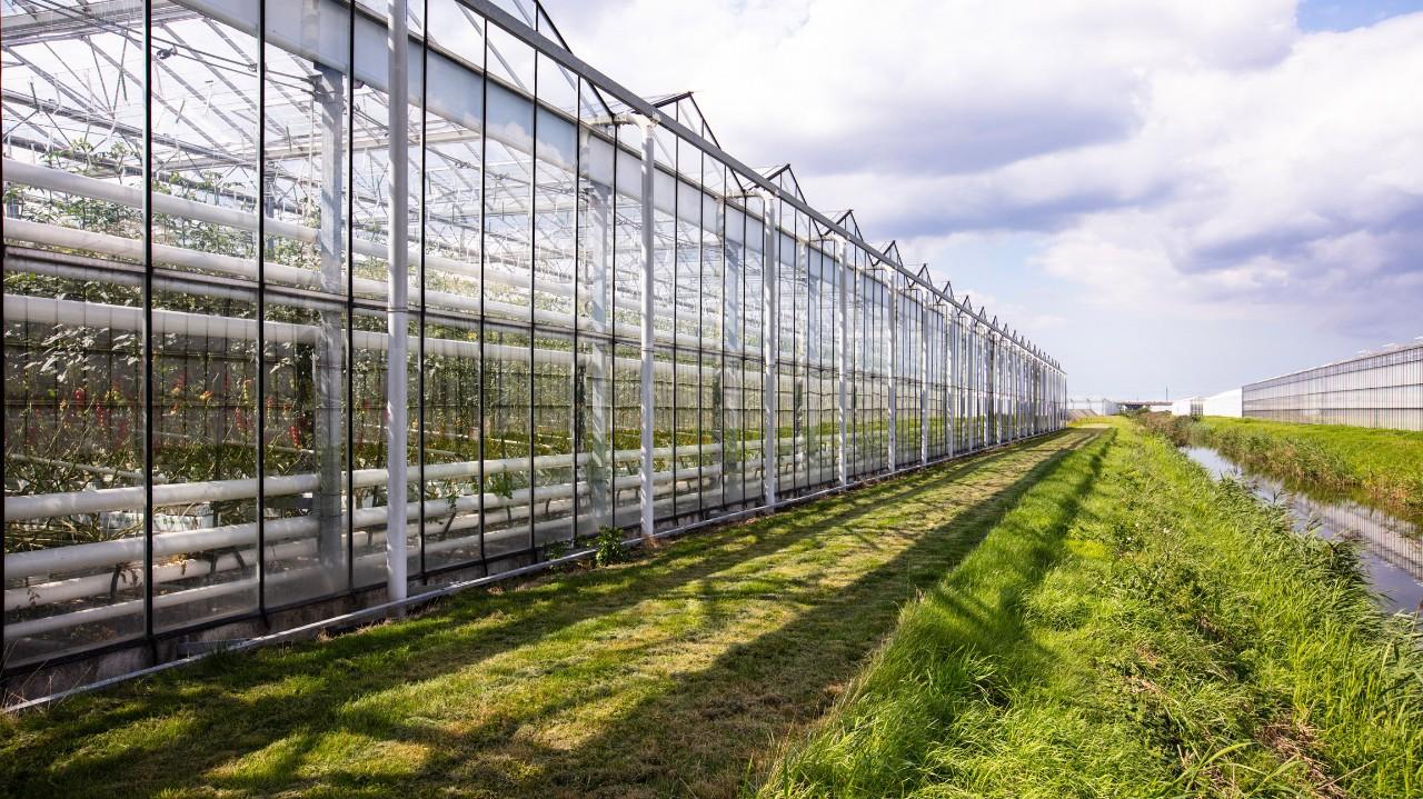 High-Tech Greenhouses To Help Sustainable Agriculture